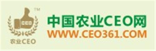 中国农业CEO网